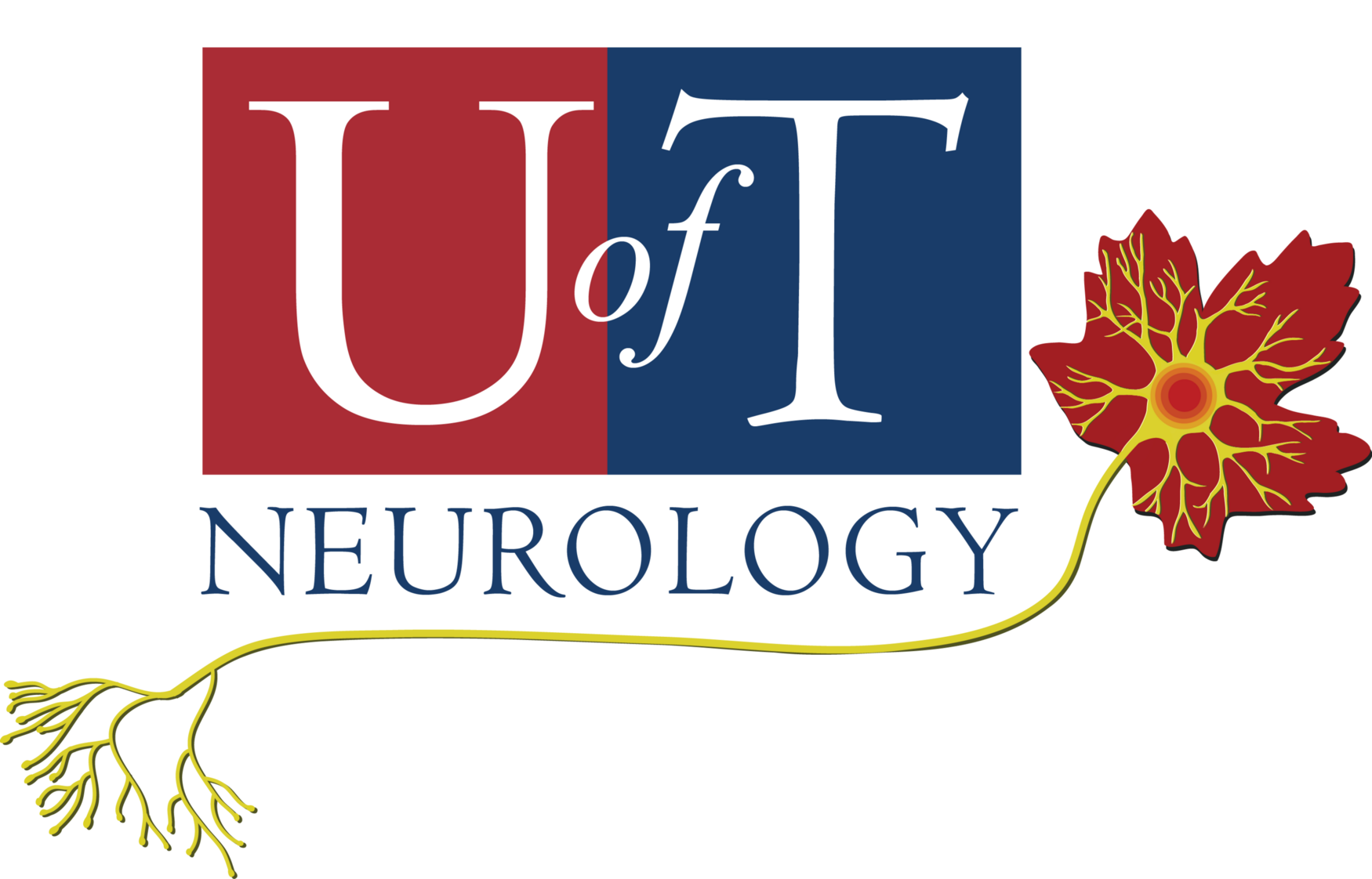 Research Lead, Division of Neurology Department of Medicine